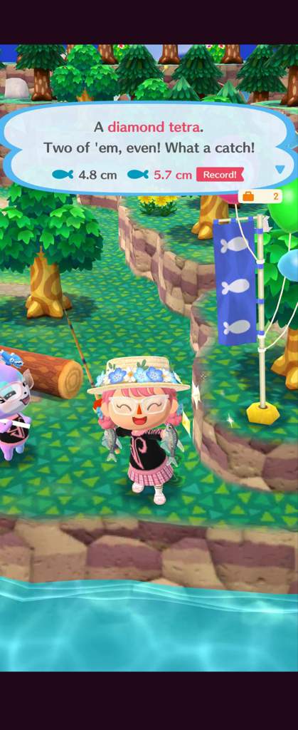 Crystal Fishing Tourney! :crystal_ball: :fish: :fishing_pole_and_fish: -Today in Pocket Camp, I participated the new event of Crystal Fishing Tourney at lost lure creek
