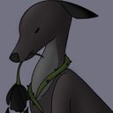 Author's Avatar